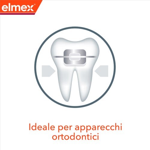Dente con apparecchio ortodontico, ideale per chi porta dispositivi ortodontici
