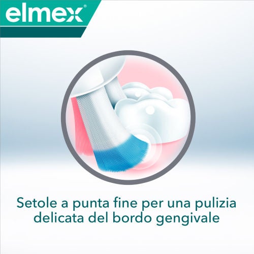 Setole a punta fine per una pulizia delicata del bordo gengivale
