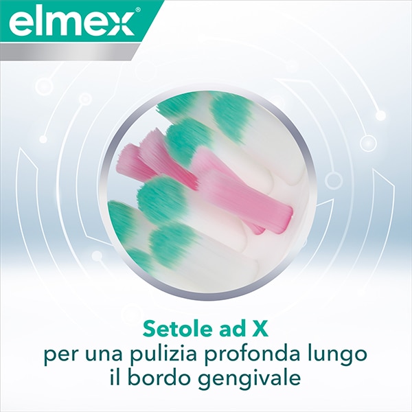 Setole ad X